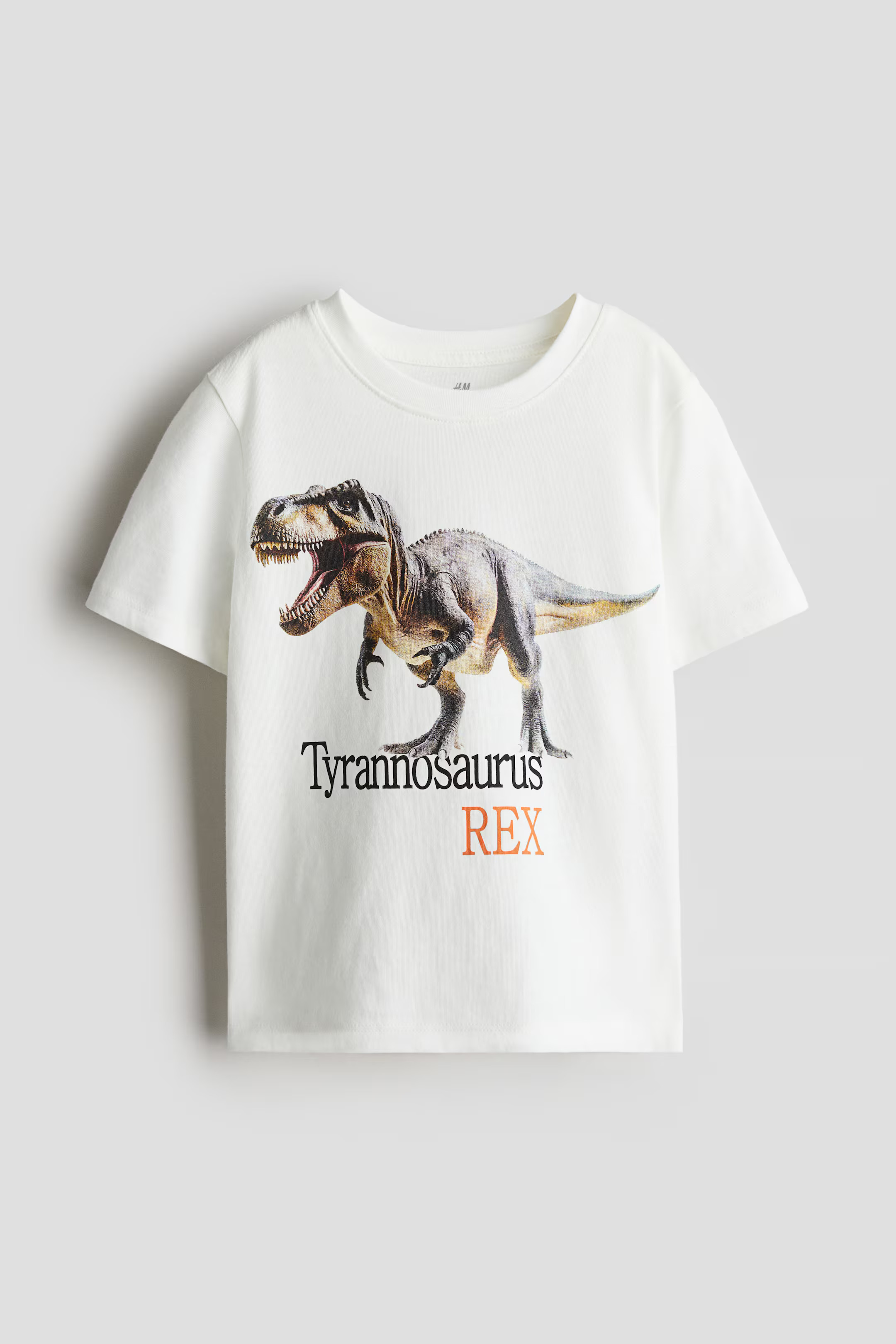 Printed T-shirt | H&M (US + CA)