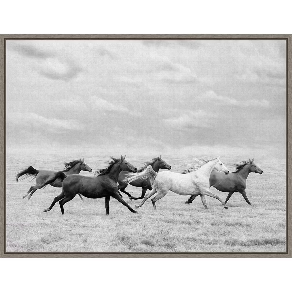 24" x 18" Horse Run I by PH Burchett Framed Canvas Wall Art - Amanti Art | Target
