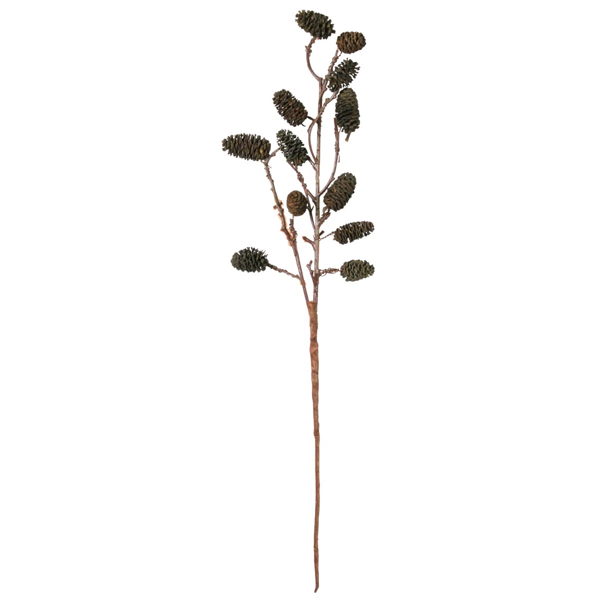 Seaside Alder Arrangement | Wayfair North America