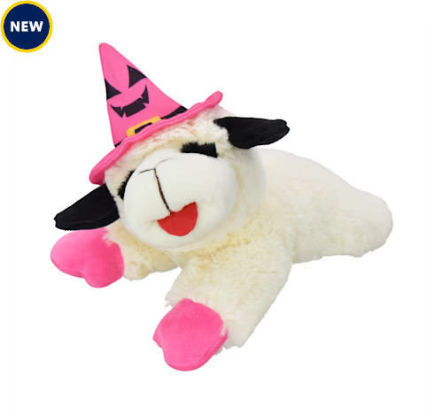 Multipet International Lamb Chop Halloween with Pink Jack O Lantern Witch Hat Dog Toy, 10.5" H, L... | Petco