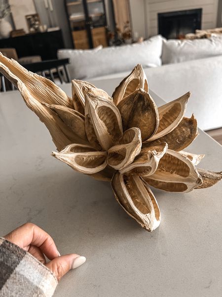 One of my latest Amazon purchases — a dried star pod✨It would be really pretty on a shelf or a table!

Amazon Finds | Shelf Decor | Coffee Table Decor

#LTKstyletip #LTKhome