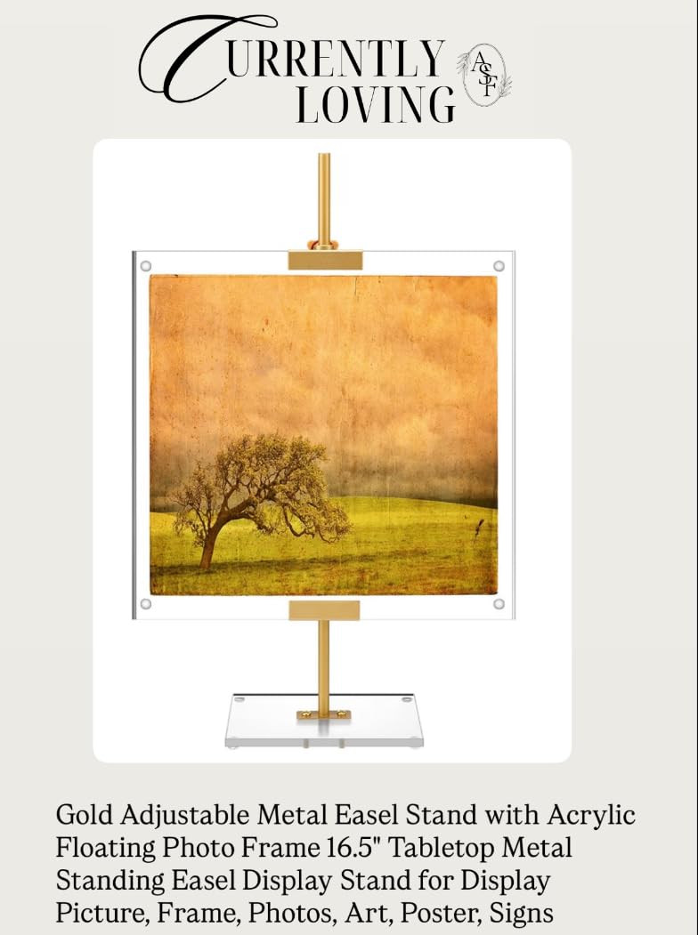 Amazon  | Amazon (US)