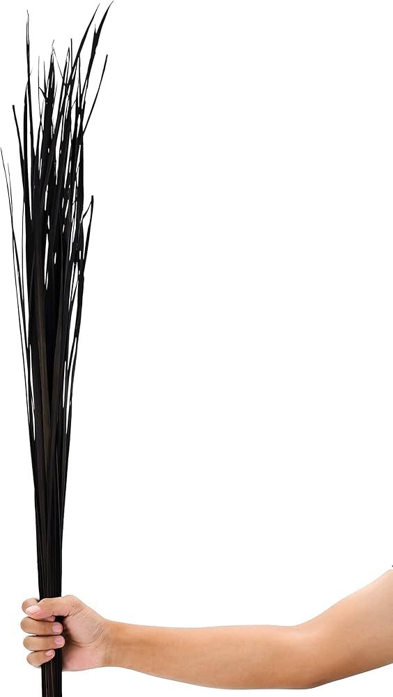 LEEWADEE Natural Grass Stems – Loose and Colored Decorative Branches for Vases, Carefully Dried... | Amazon (US)