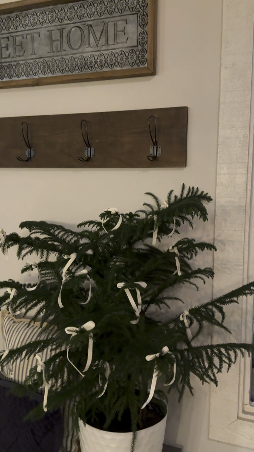 Embrace the coquette era with style, just like my daughter! Bows are making a big comeback in 2024, and this cream velvet ribbon is the perfect addition to your Norfolk Island Pine or any festive decor, adding a touch of charm to your home ✨

#LTKhome #LTKSeasonal #LTKVideo