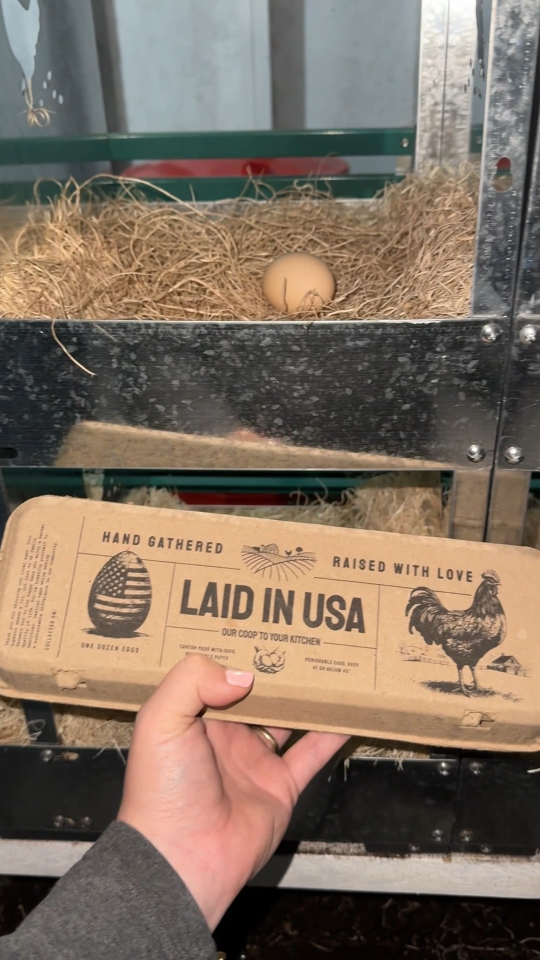 This solar light is a game changer lol

#LTKstorytime #LTKHome #LTKmorningroutine