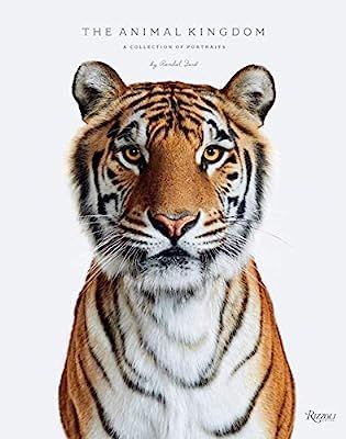 Animal Kingdom: A Collection of Portraits | Amazon (US)
