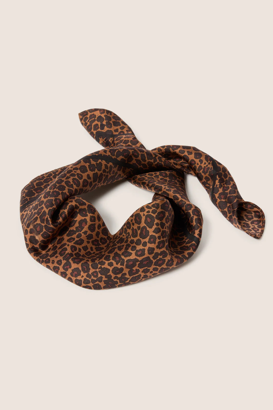 Leo Silk Scarf | Evereve