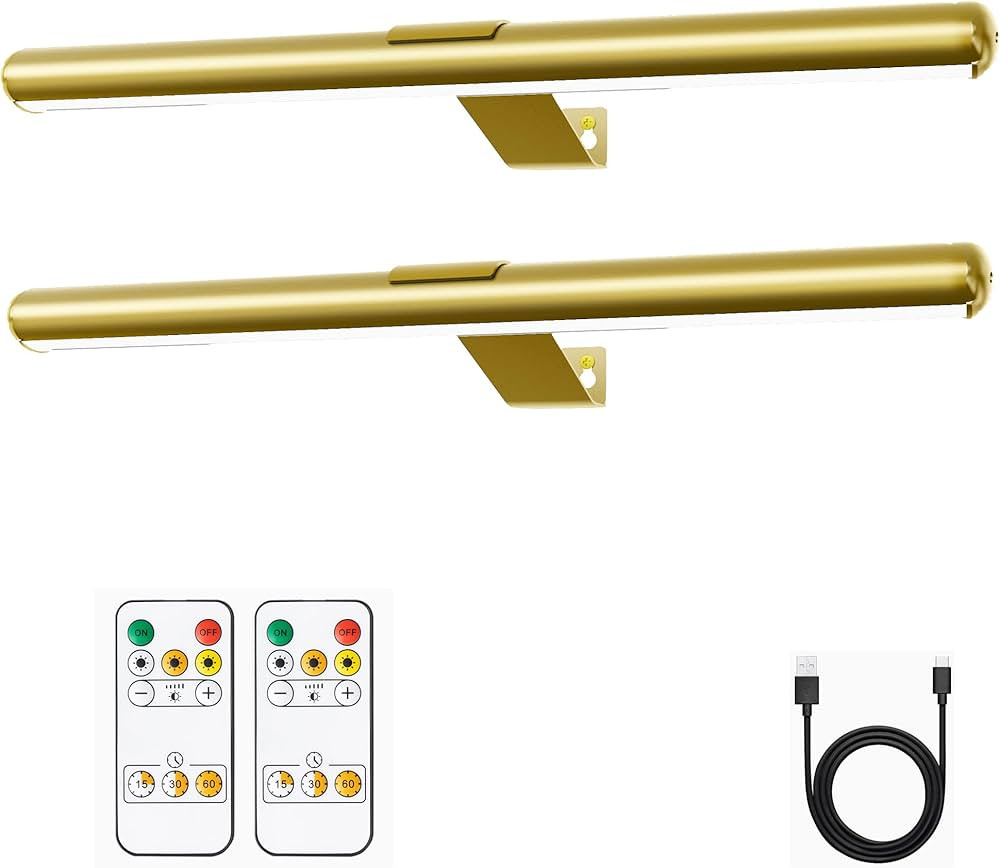 Battery Picture Lights 16inch-2PACK ,Wireless Rechargeable Painting Light for Art with Remote,Ful... | Amazon (US)