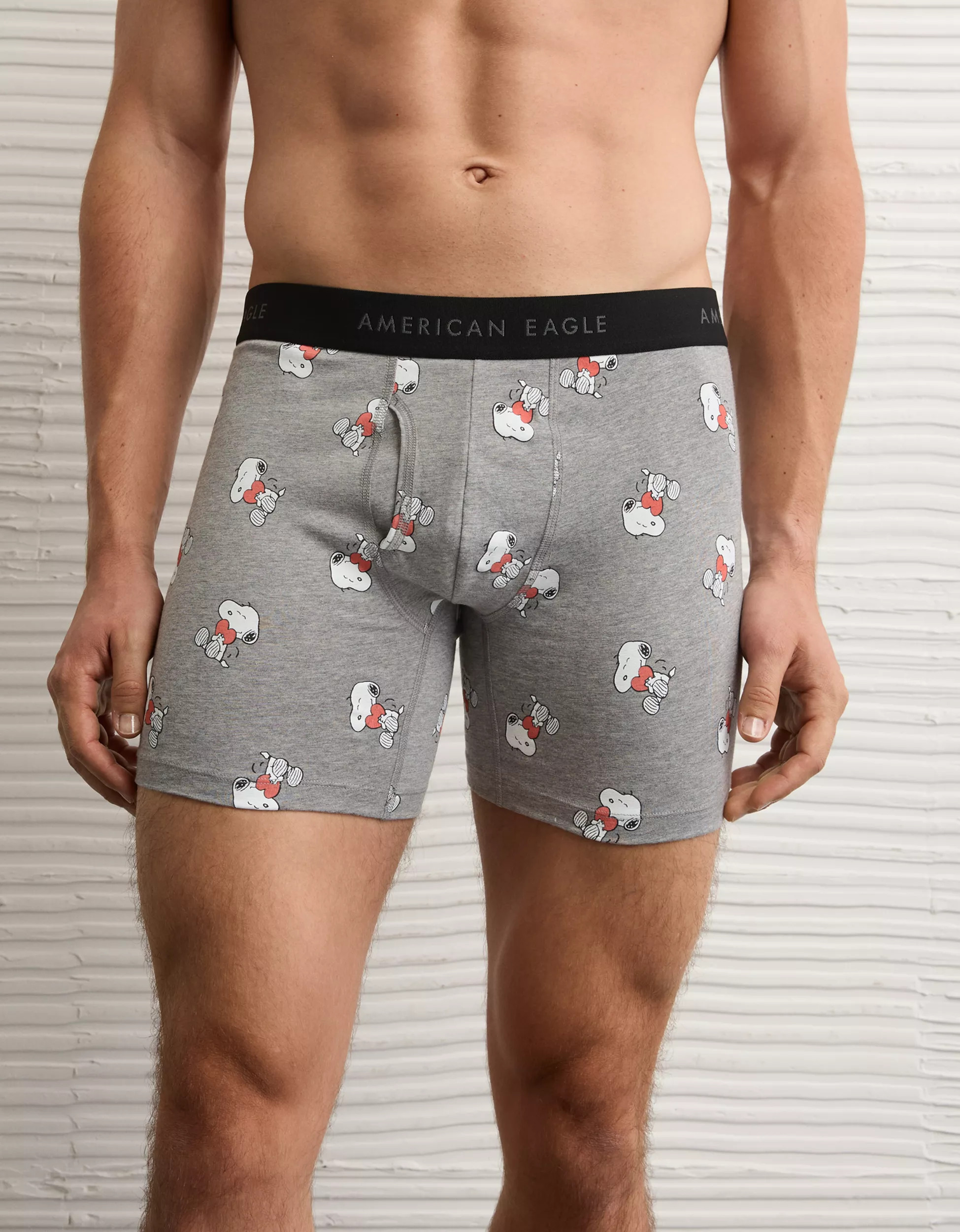AEO Men's Snoopy Valentine's Day 6" Classic Boxer Brief | American Eagle Outfitters (US & CA)