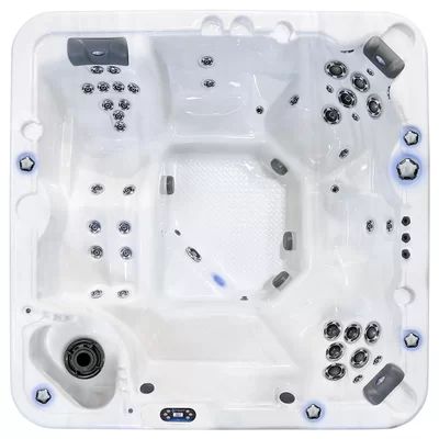 Northern Star 5-Person 45-Jet Hot Tub with Waterfall Starlight Hot Tubs Finish: Gray | Wayfair North America