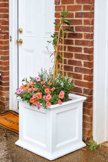 My beautiful new white planters look great on my driveway outside my exterior garage door. I can’t wait until the Mandevilla blooms.  

#LTKhome