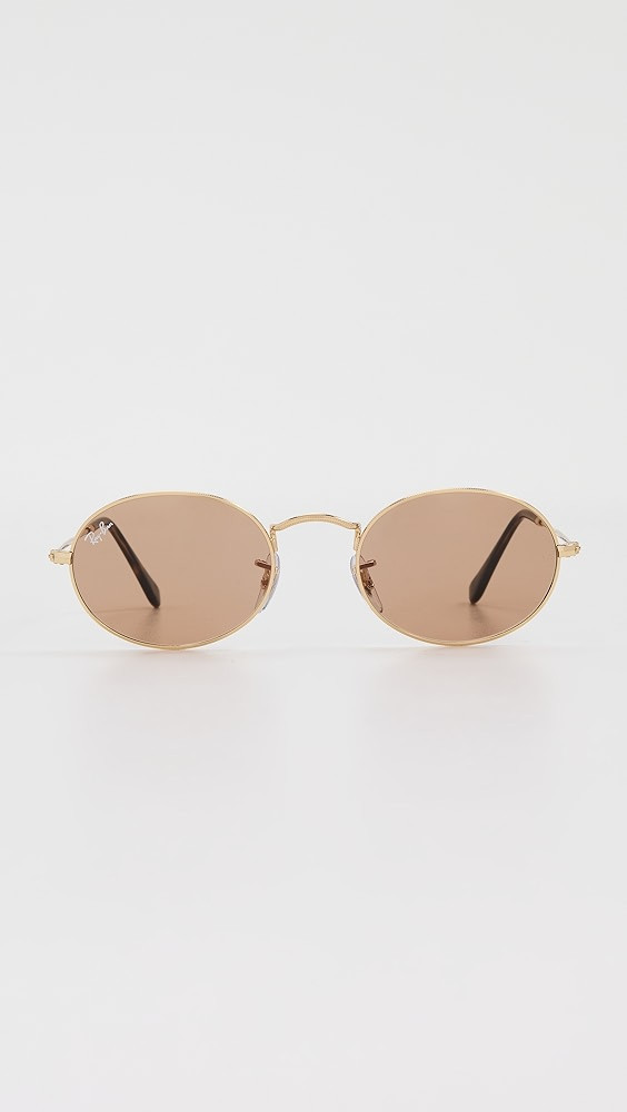 Oval Sunglasses | Shopbop