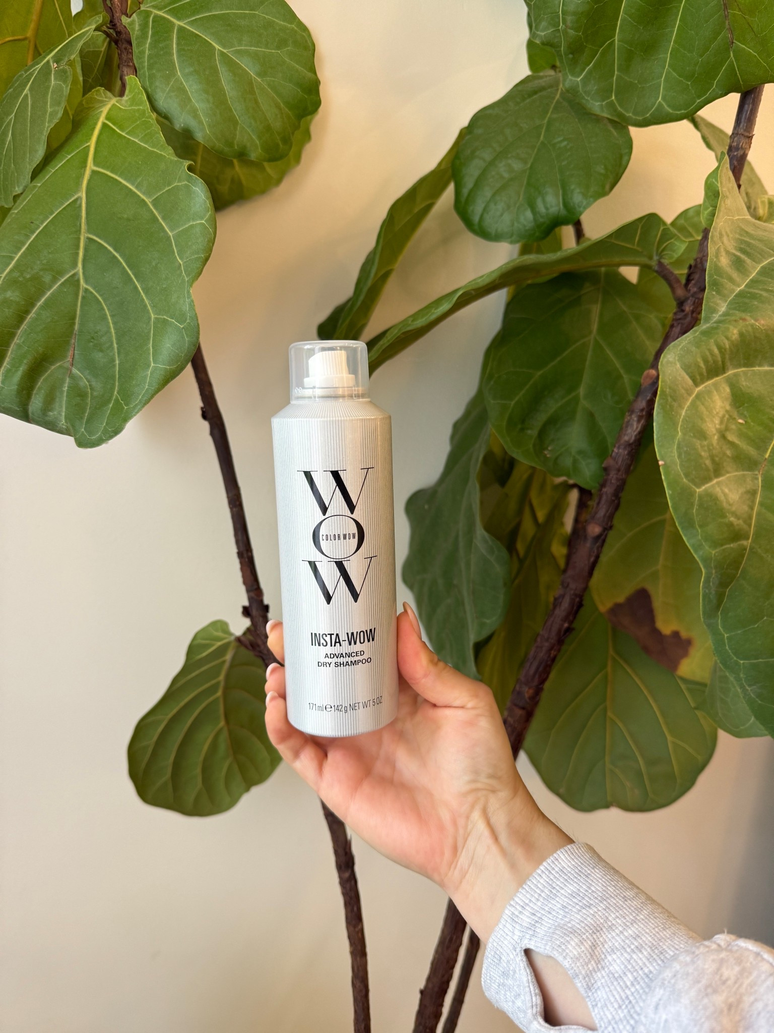 Color wow new dry shampoo & my favorite hair brush linked here! 

#LTKBeauty