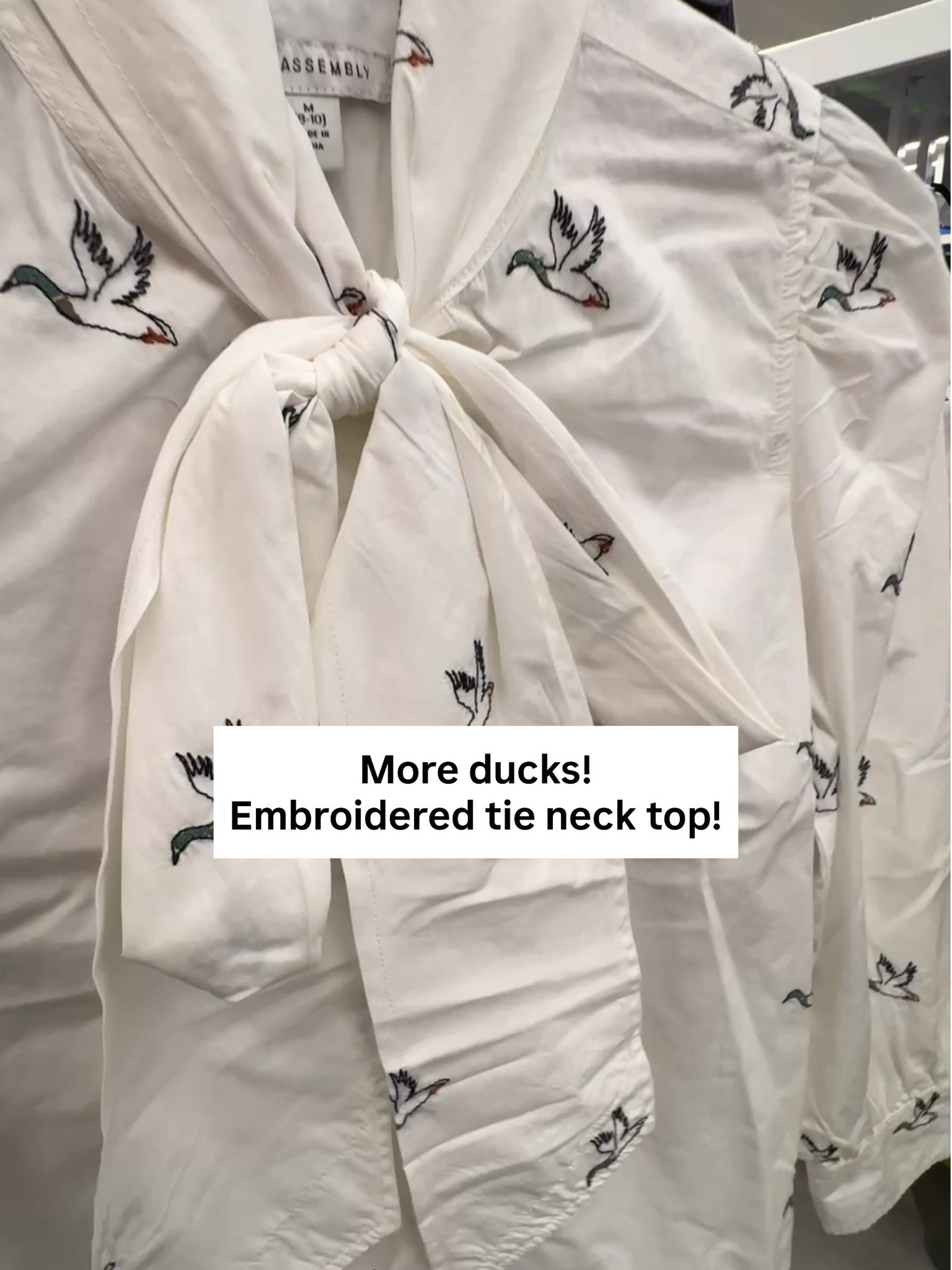 Embroidered duck button down top from Walmart