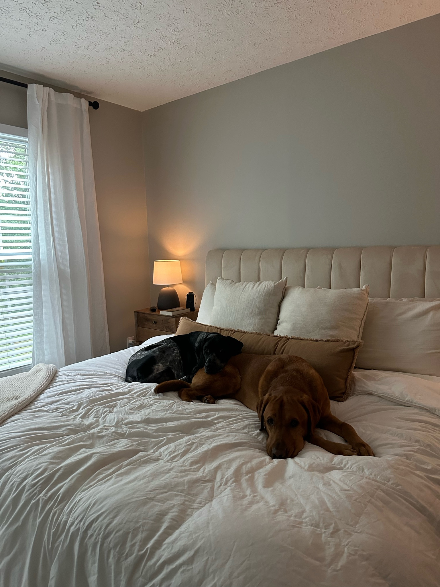 Neutral aesthetic home decor 

#LTKhome