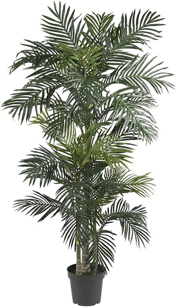 Nearly Natural 5289 6.5ft. Golden Cane Palm Silk Tree,Green | Amazon (US)