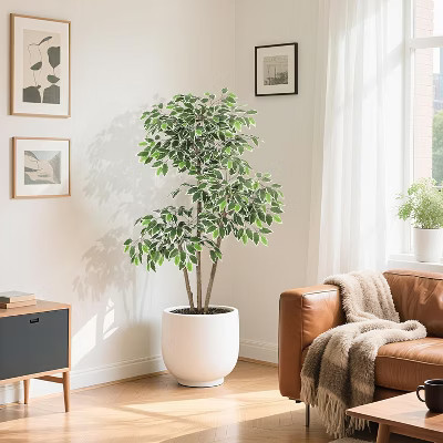 5Ft Artificial Ficus Tree, Tall Faux Plant with White Tall Planter, Faux Greenery Tree with 3 Natural Trunks & White-Edged Leaves for Home Decor | Target