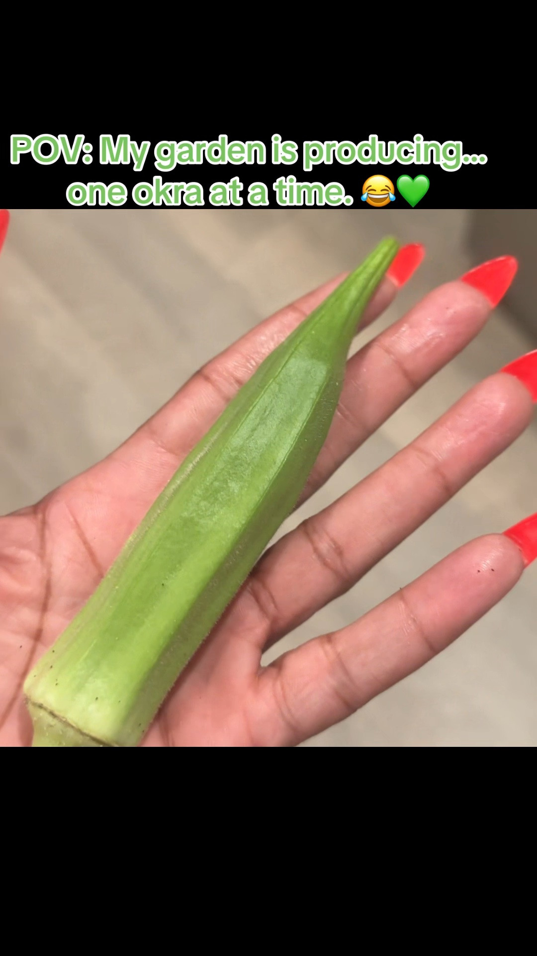 My garden is keeping me humble this season… but we’re celebrating every little win. 😂💚 One okra at a time! 🌱

#GardenLife #HomeGarden #Okra #GrowYourOwn #GardeningHumor

#LTKdayinmylife