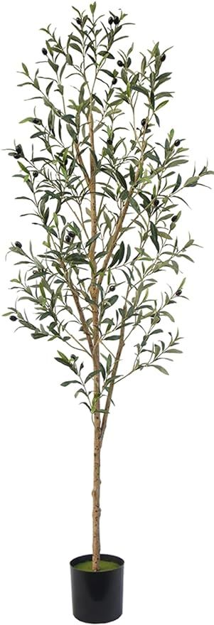 TDIAOL Artificial Olive Tree 6FT（72in） Tall Faux Olive Trees Indoor with Realistic Leaves and... | Amazon (US)