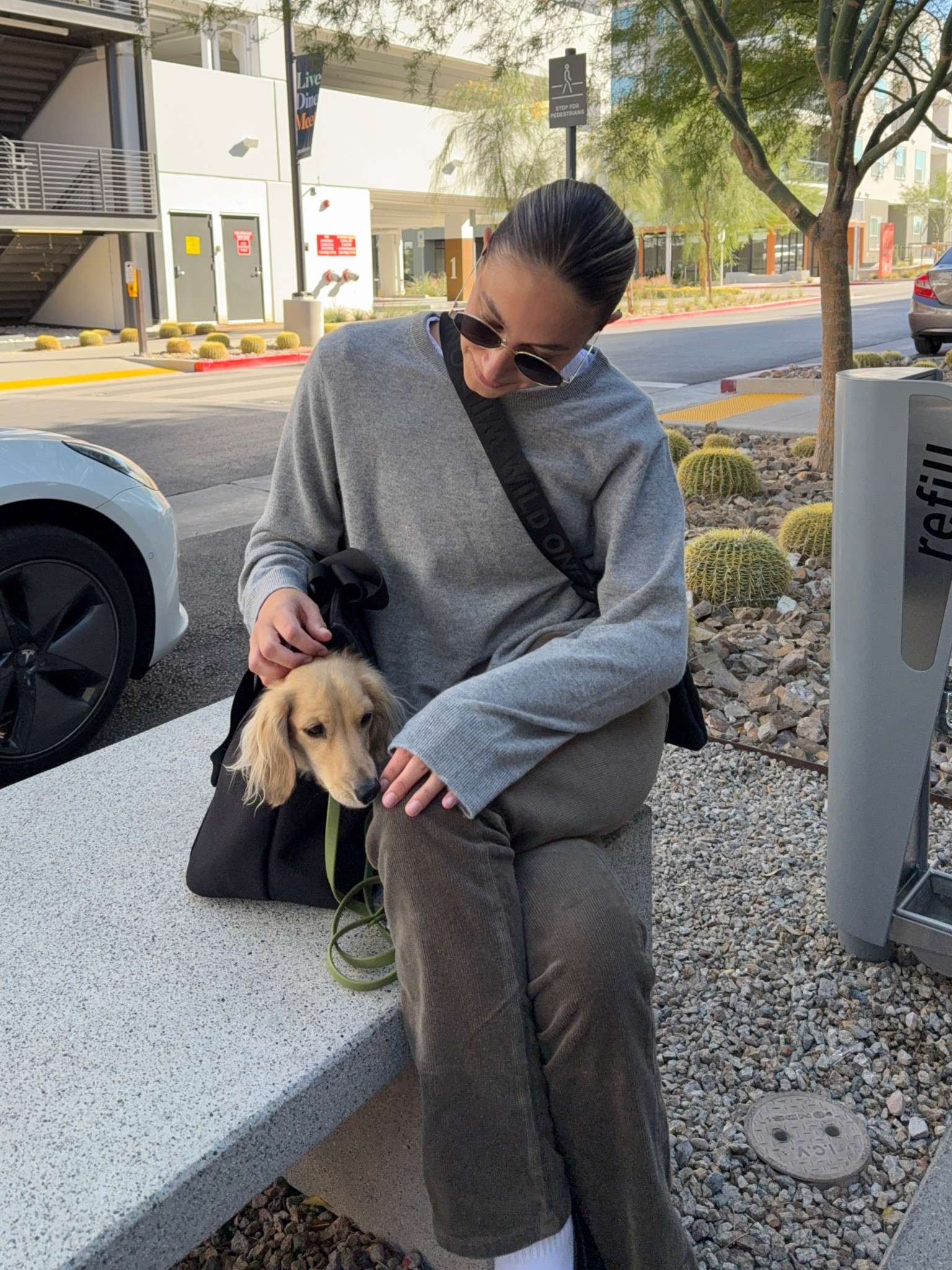 Winter outfit, winter style, grey sweater, gray sweater, cashmere sweater, corduroy pants, olive green pants, black loafers, chunky loafers, dog carrier, dog leash, dog harness, dog bag

#LTKStyleTip #LTKItBag #LTKSeasonal