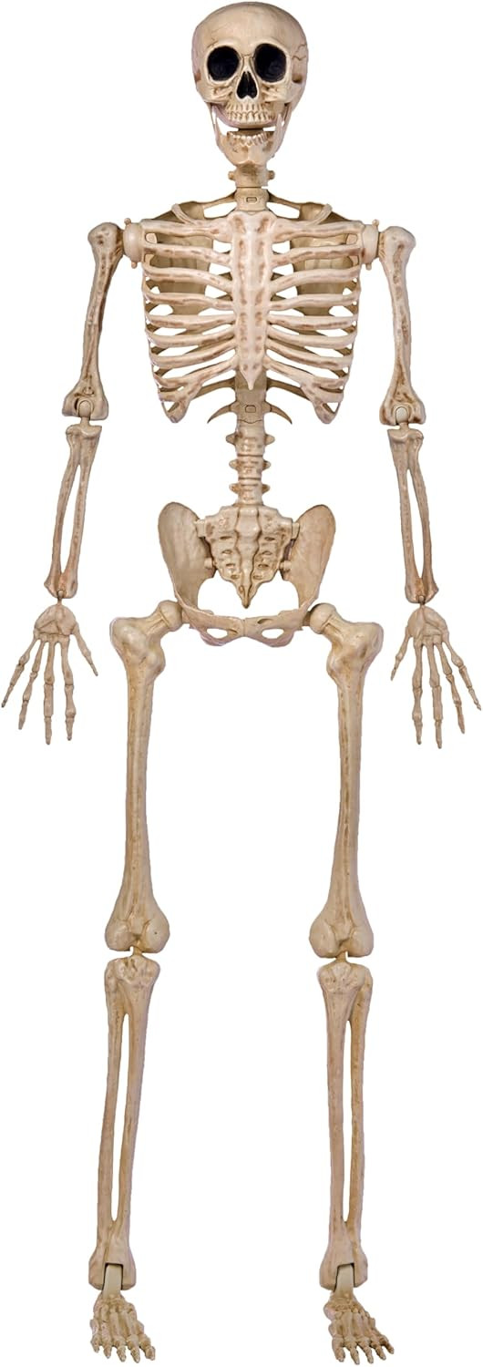 JOYIN 5 FT Halloween Skeleton Life Size, Stayable Posable Skeleton Decor, Full Body Movable Joints Giant Skeletons for Halloween Decoration Outdoor, Haunted House Prop, Spooky Scary Graveyard Party | Amazon (US)