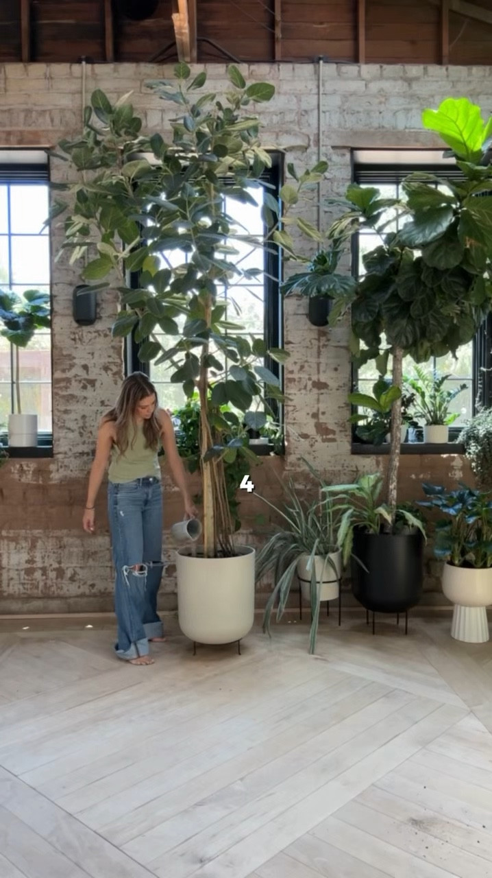 These Veredek planters are my favorite, especially for large planters.

Pro tip: if you email Veradek when you order they will send you stoppers for the drainage holes.

Tank: Under the Sea Top from One Loved Babe

#LTKVideo #LTKHome #LTKStyleTip