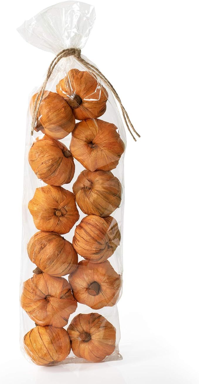 ANDALUCA Natural Vase Fillers | Miniature Pumpkins Home Decor (Mini Pumpkins) | Amazon (US)