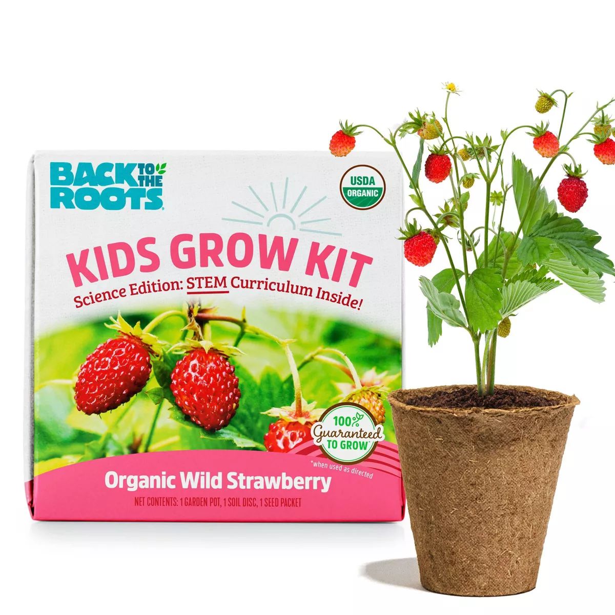 Back to the Roots Organic Alpine Strawberry Kids Grow Kit Science Edition | Target