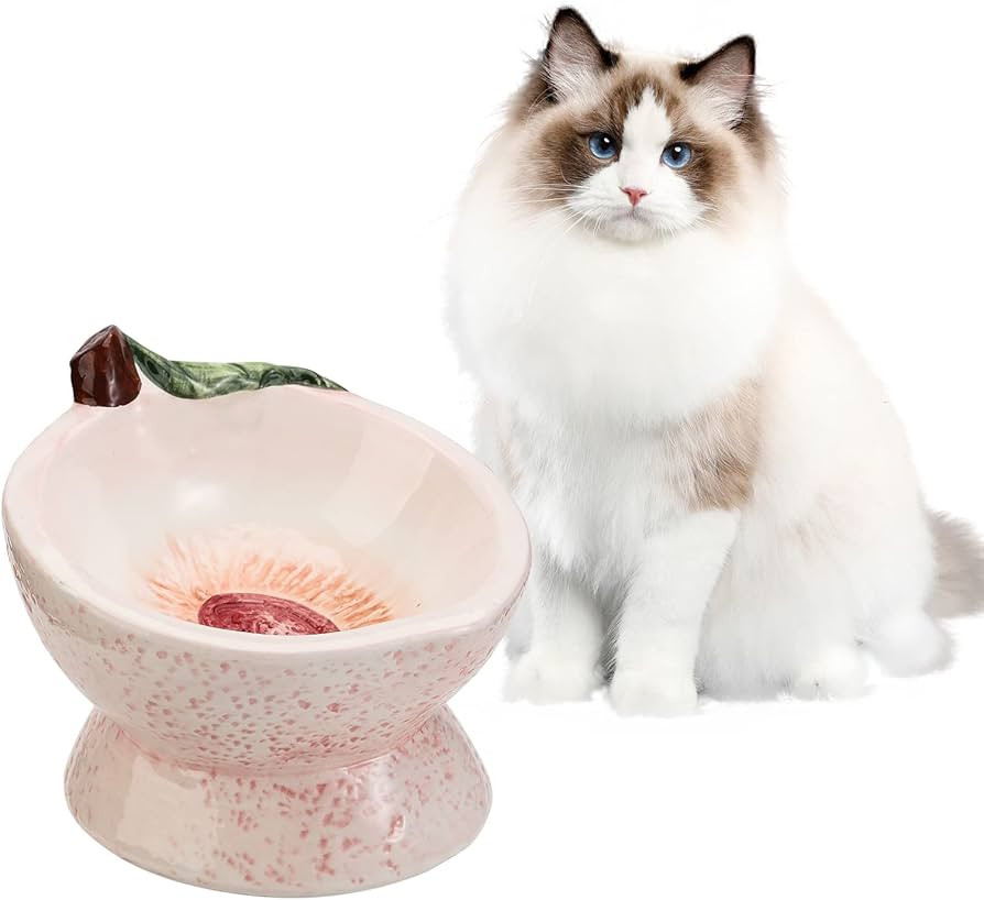 Visit the AHX Store | Amazon (US)