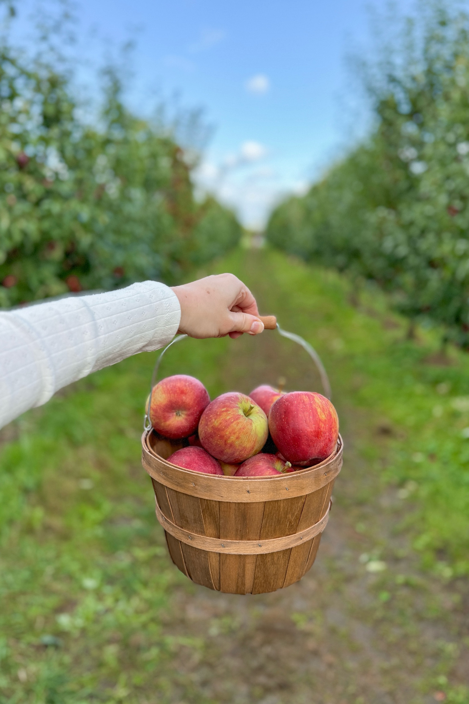 Perfect day for apple picking at Swan’s Trail Farm! Love this pointelle top — worn with jeans and rain boots (so muddy!). 

We filled our bushel basket with cosmic crisp apples to take home! 🍎

#LTKSeasonal