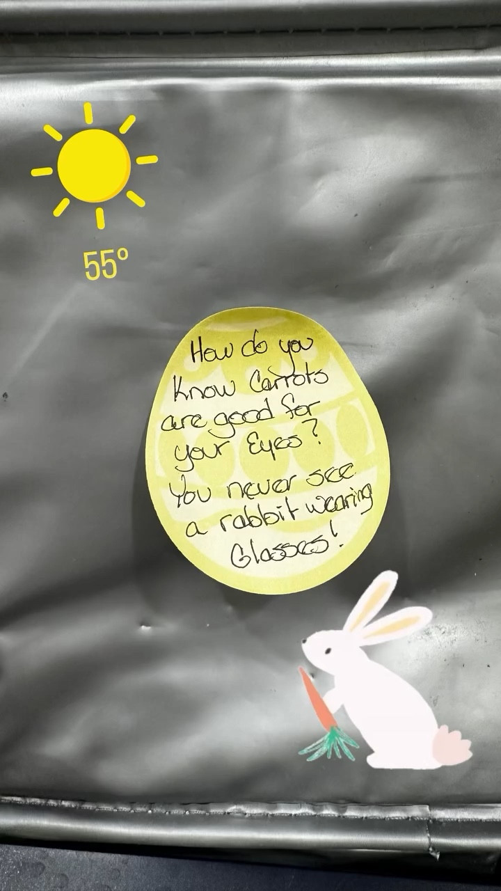 Lunch box jokes
Easter joke
Sticky notes


#LTKfoodie #LTKmorningroutine #LTKKids