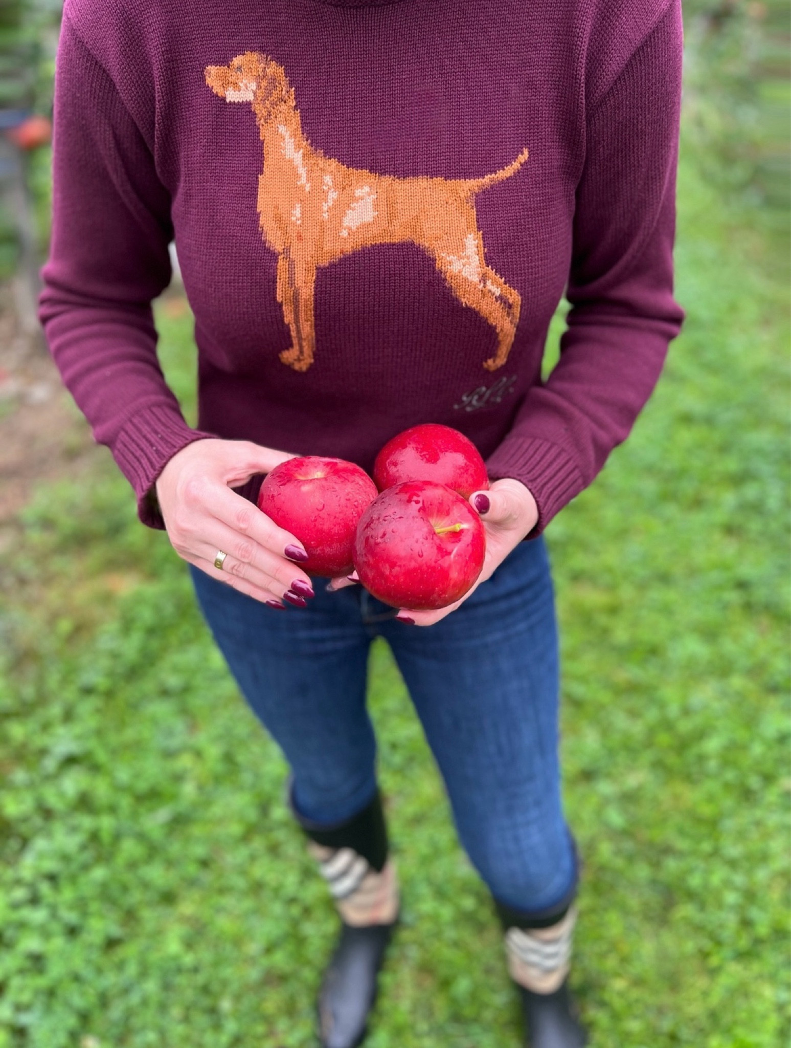 Apple picking in style! 

#LTKShoeCrush #LTKTravel #LTKStyleTip