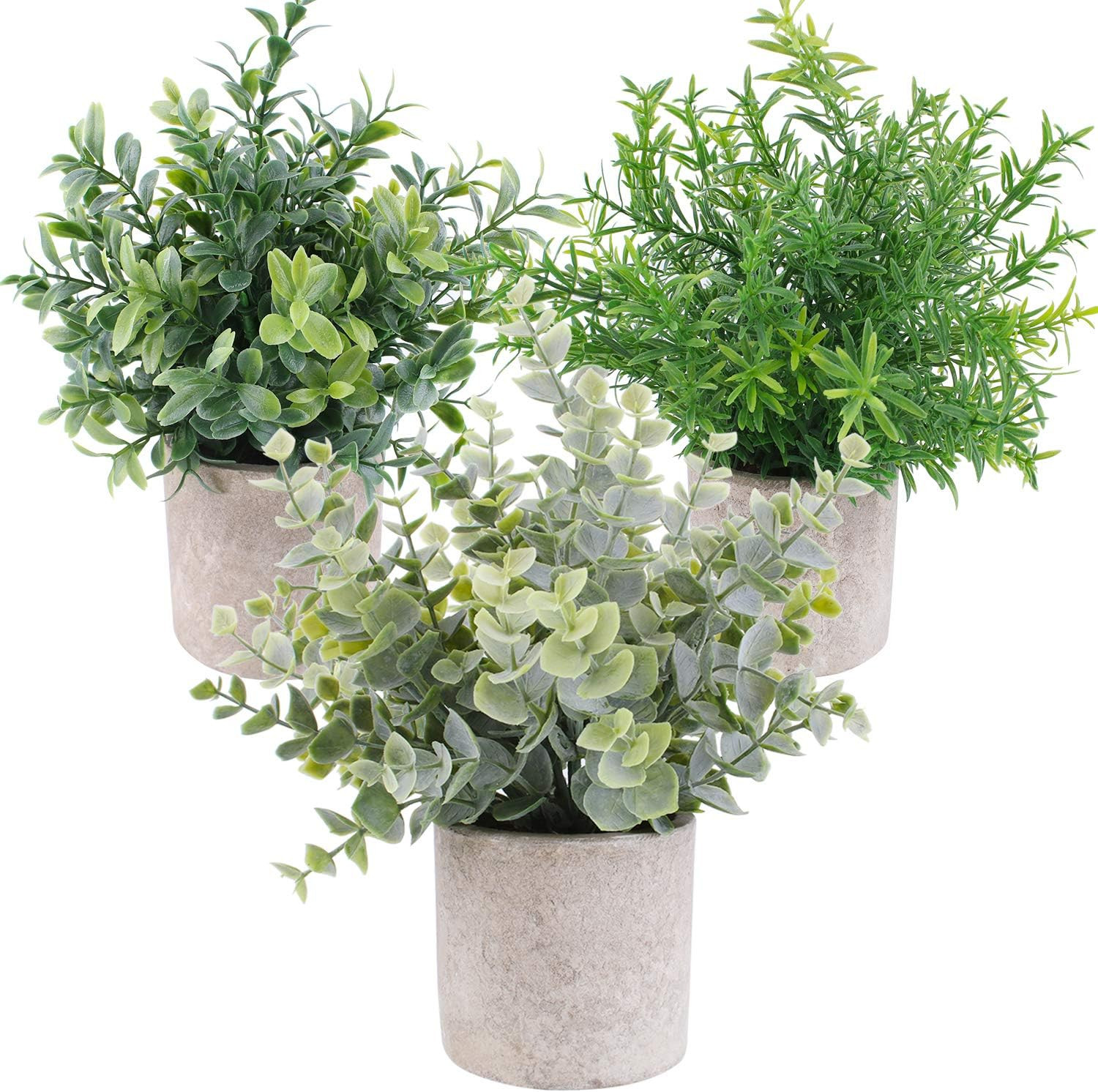 OUTLEE 3 Pack Mini Artificial Potted Plants Faux Eucalyptus Plants Boxwood Rosemary Greenery in P... | Amazon (US)
