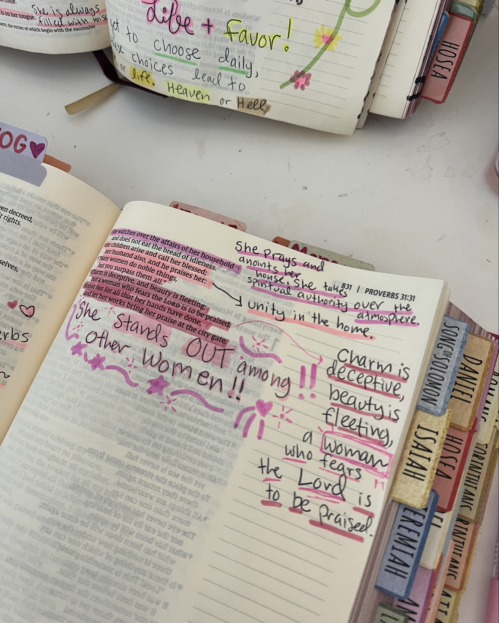 my pink Study Bible is used to study Proverbs 31!! This is NIV, and available to purchase down below 🎀📖💫

#LTKFallSale #LTKBacktoSchool #LTKFindsUnder100