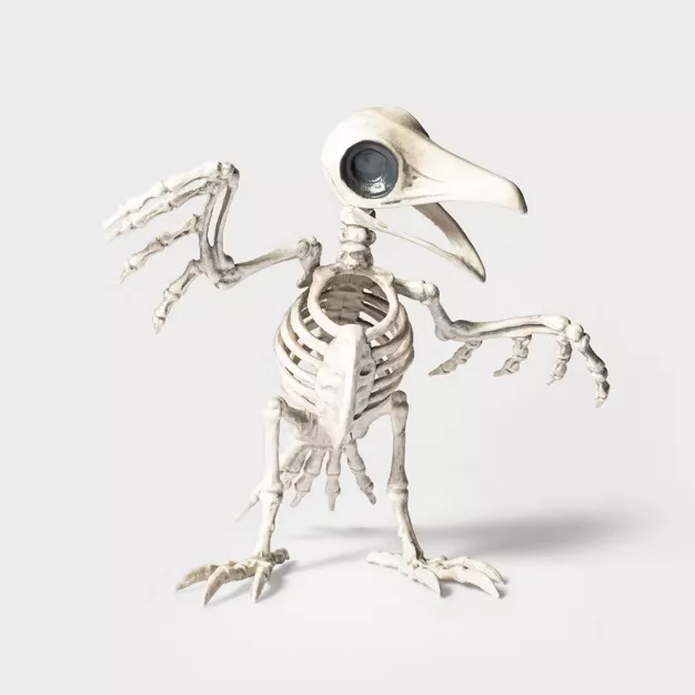 Northlight Skeleton Dog Decoration 32255980