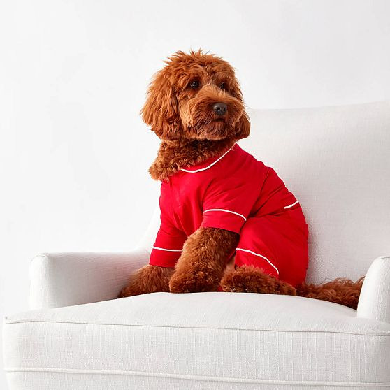 Pet Pajamas | Mark and Graham