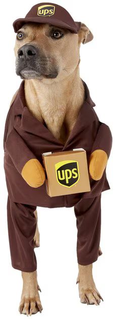 CALIFORNIA COSTUMES UPS Delivery Driver Dog & Cat Costume, Large - Chewy.com | Chewy.com
