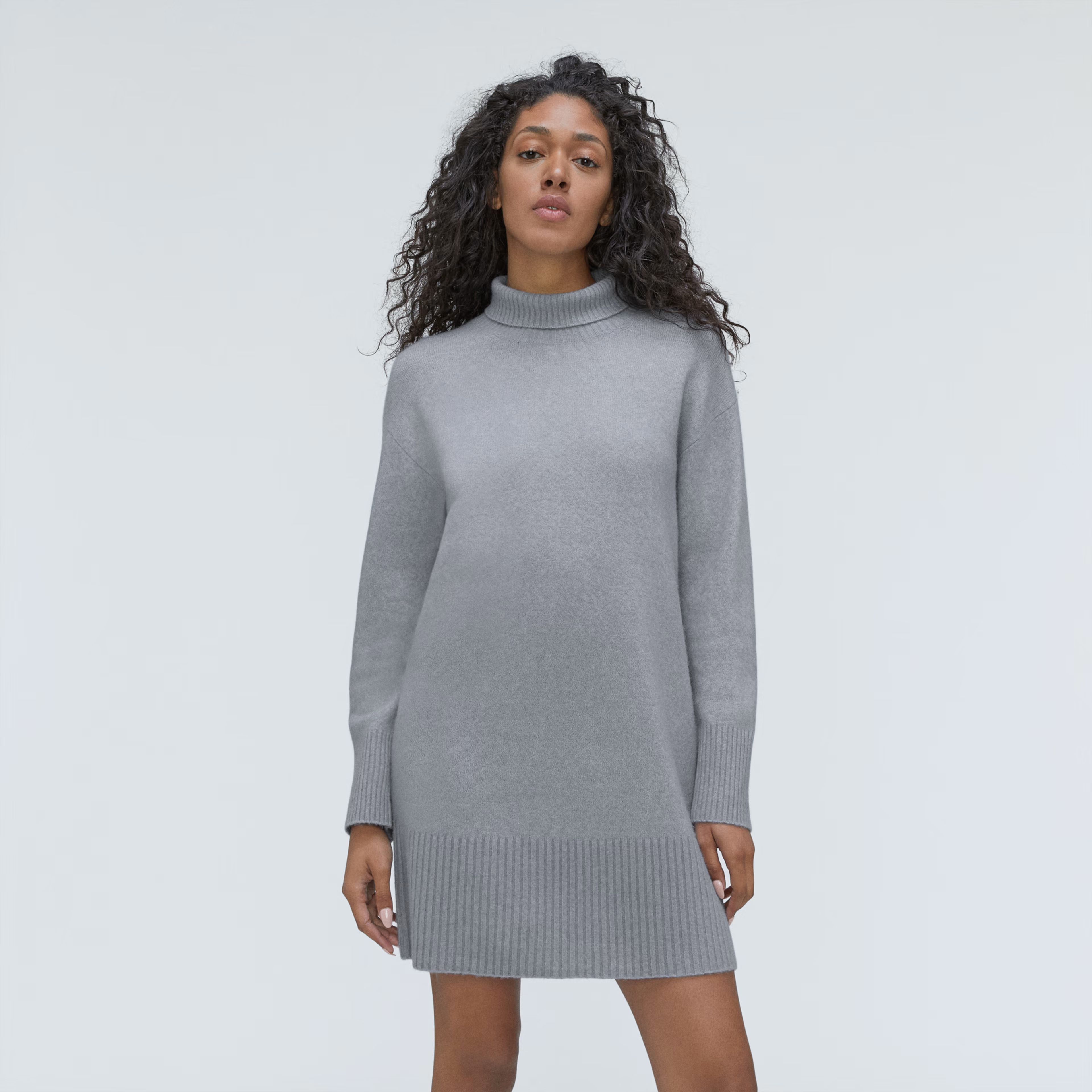 The Cozy Stretch Turtleneck Dress | Everlane