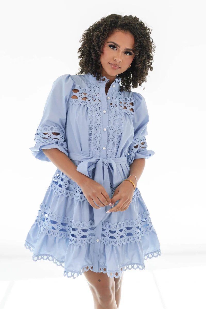 Expensive Taste Dress - Blue | The Impeccable Pig