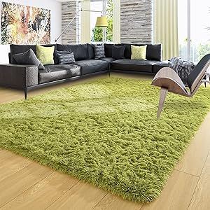 Ompaa Fluffy Rug, Super Soft Fuzzy Area Rugs for Bedroom Living Room - 6' x 9' Large Plush Furry ... | Amazon (US)