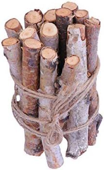 Amosfun 20PCS 10CM Birch Branches Birch Twigs Wood Logs Craft Centerpieces for Arts Craft Christm... | Amazon (US)