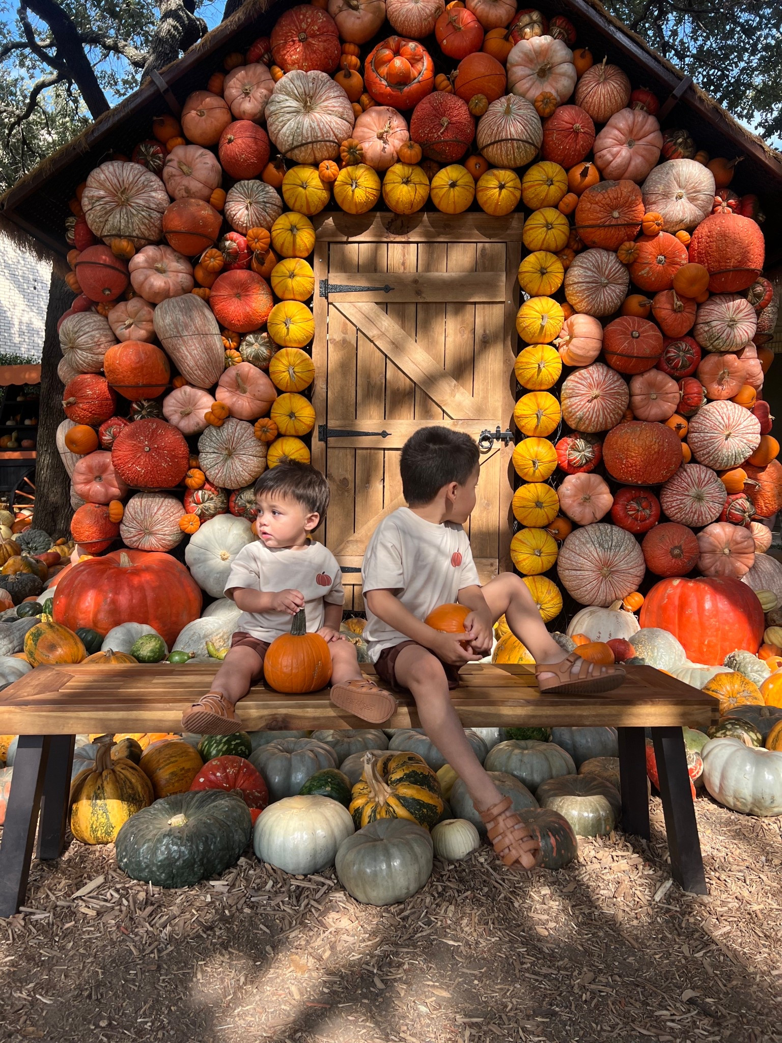 Pumpkin Patch Outfits 🎃🍂🍁

#LTKKids #LTKSeasonal #LTKFamily