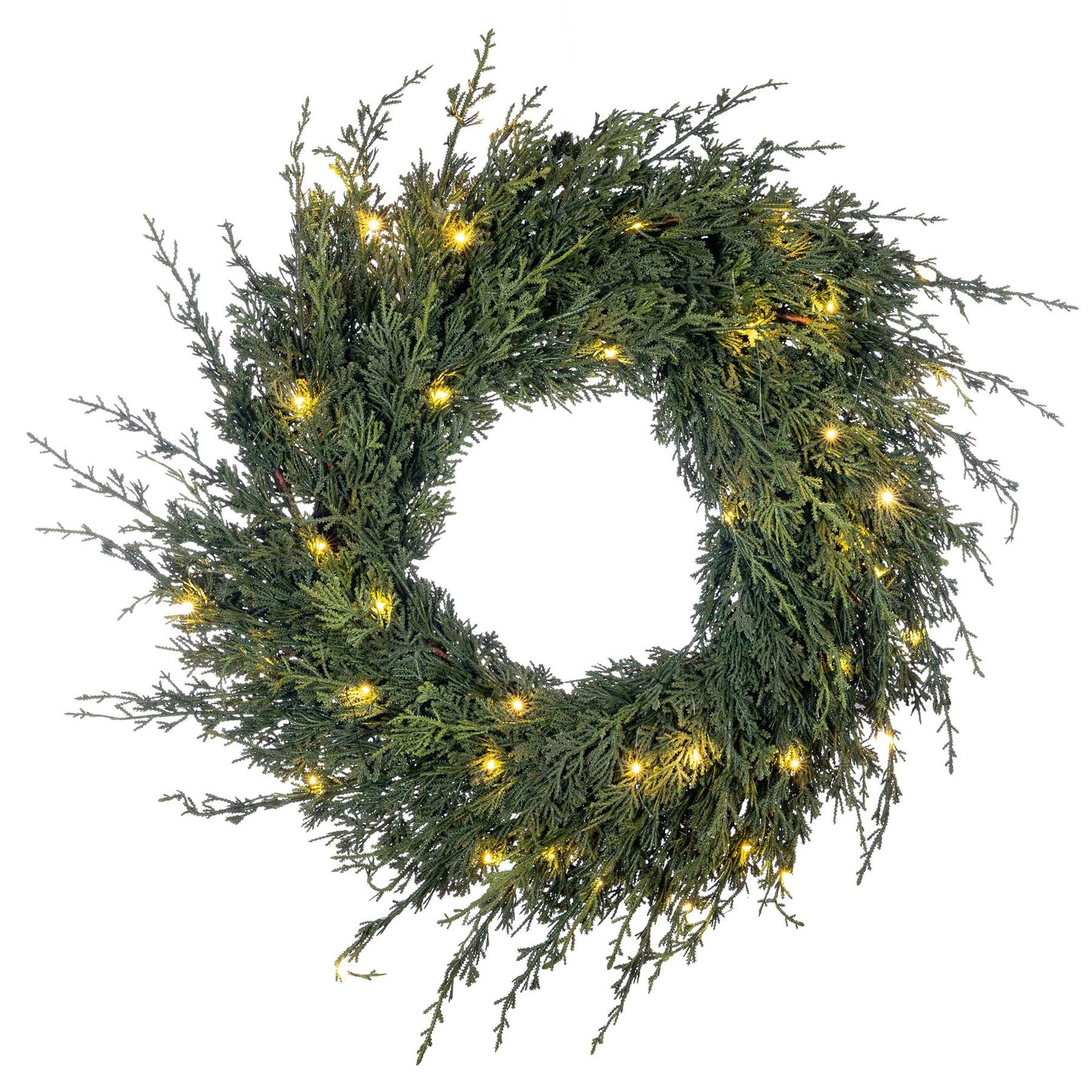 24 in. Pre-Lit LED Wreath - Cedar | Amazon (US)