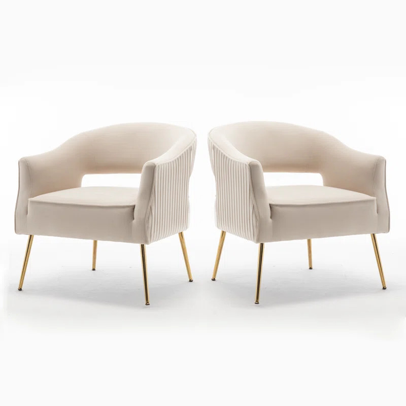 Chynna Velvet Accent Chair (Set of 2) | Wayfair North America