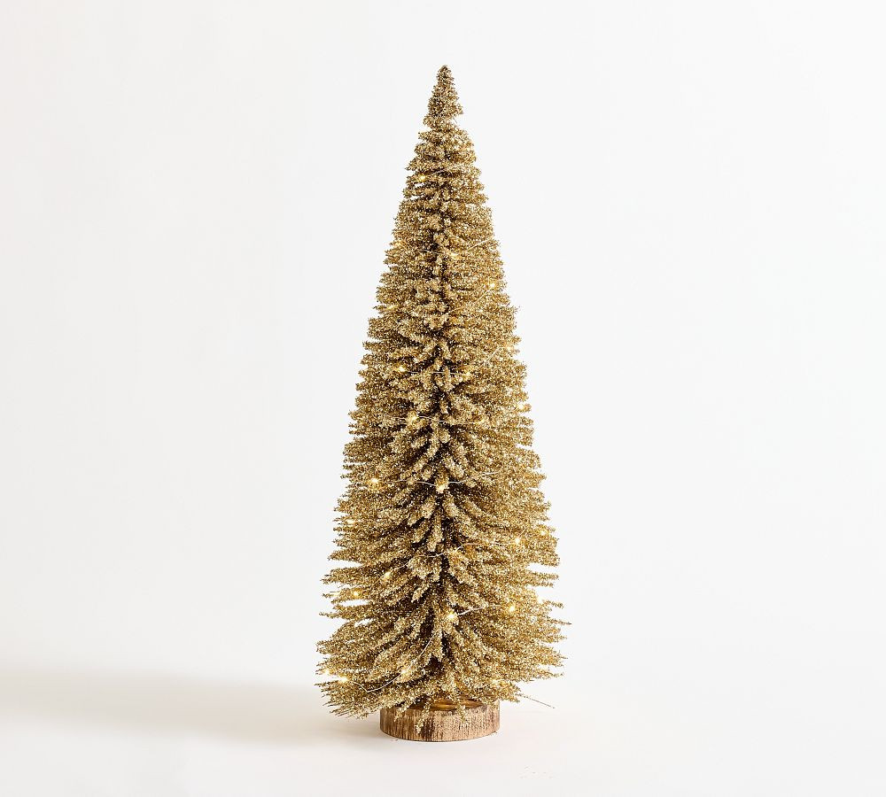 Lit Bottlebrush Trees | Pottery Barn (US)