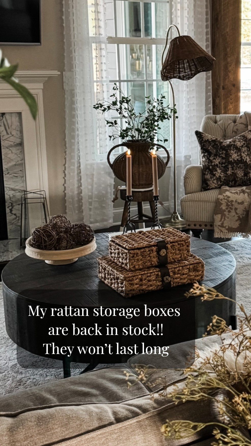 They’re Back!! Hurry because these won’t last long and they are a fraction of the cost compared to the designer ones.

#LTKHome #LTKFindsUnder50 #LTKSeasonal
