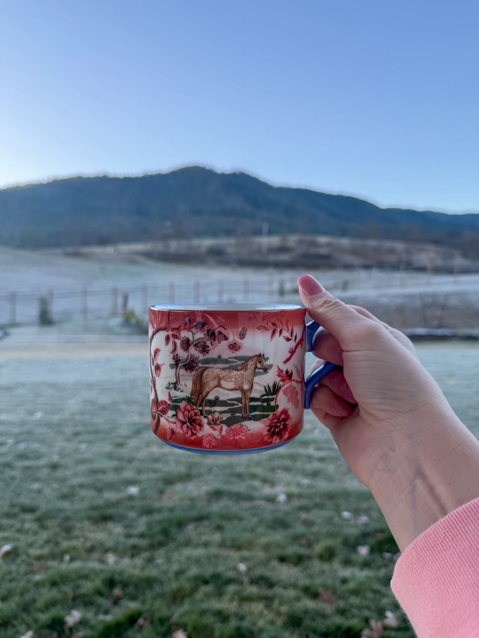 It’s a frosty morning and I love it 🥰

#LTKHome #LTKFindsUnder50 #LTKmorningroutine