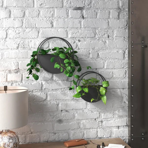 Josiah Metal Indoor Wall Planter | Wayfair North America