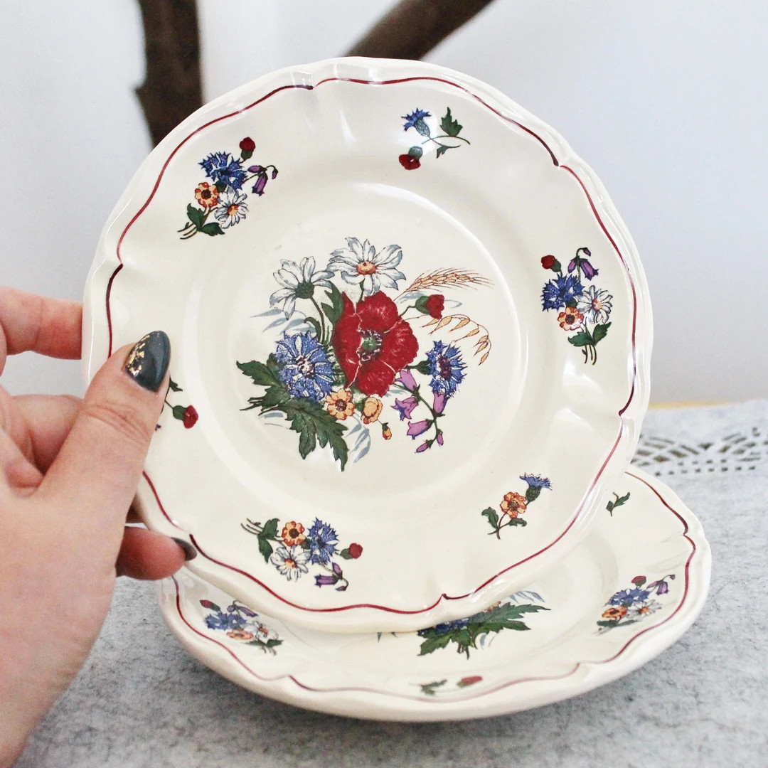 Belles assiettes vintage en céramique avec des fleurs - Assiette en faïence antique française ... | Etsy (US)