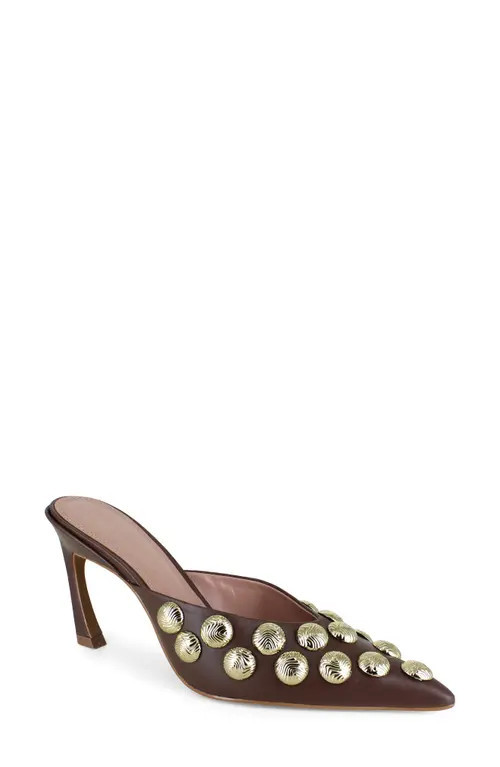 bcbg Grimaldi Pointed Toe Pump in Dark Brown at Nordstrom, Size 8.5 | Nordstrom